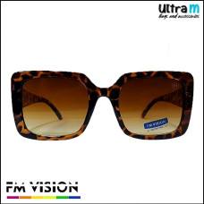 FM Vision FM 171