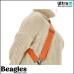 Beagles 22240 034