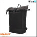 Beagles 22852 001