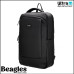 Beagles 23340 001