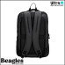 Beagles 23340 001