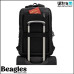 Beagles 23340 001