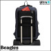 Beagles 23340 002
