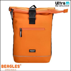 Beagles 25268 034