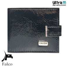 Falco House 3309-13